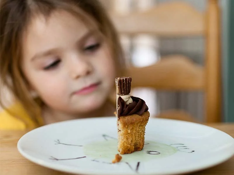 What Are Logical Consequences?