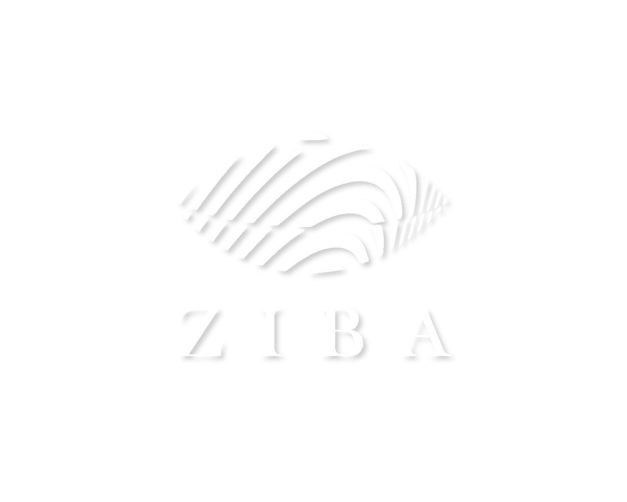 ZIBA DRUMS