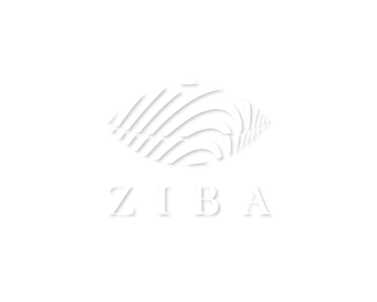 ZIBA DRUMS