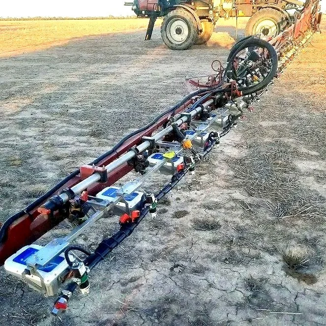 close up of plant growing with the sun shining down
