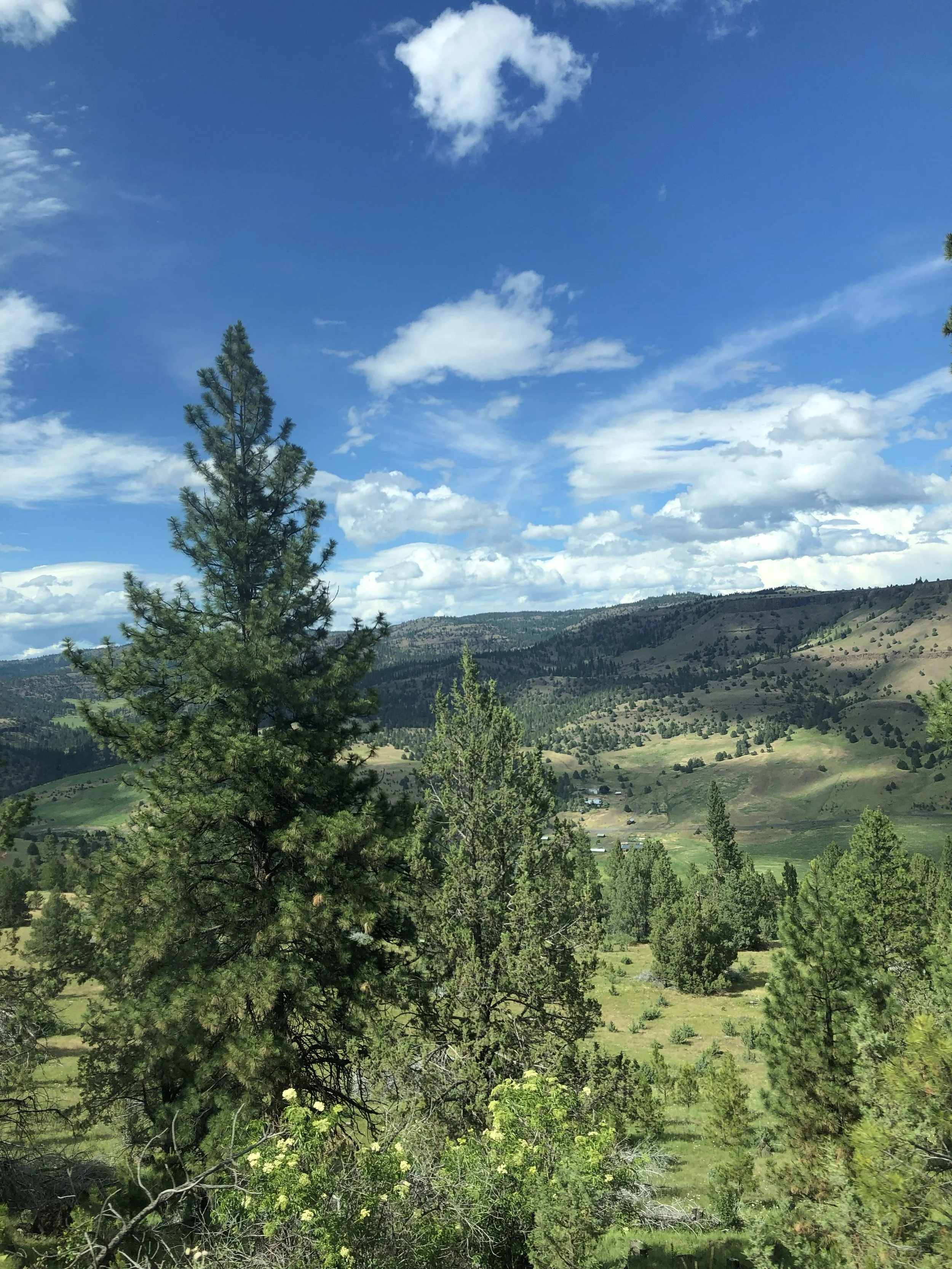 A scenic view of a Cascade mountain valley with green trees, rolling hills, and a partly cloudy blue sky.