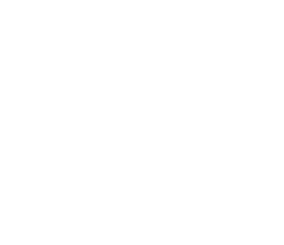 Nosara International Film Festival