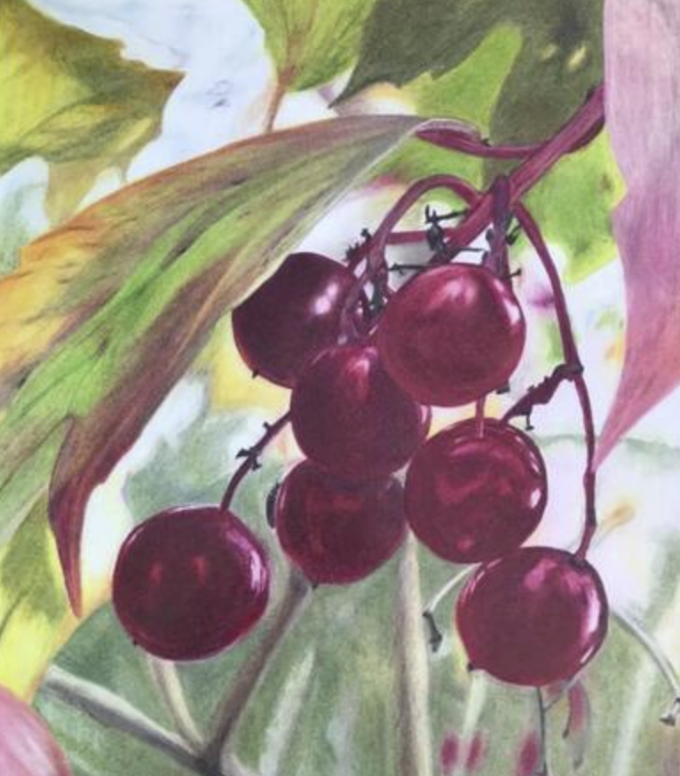 Studio 13 - Lorna Boryski