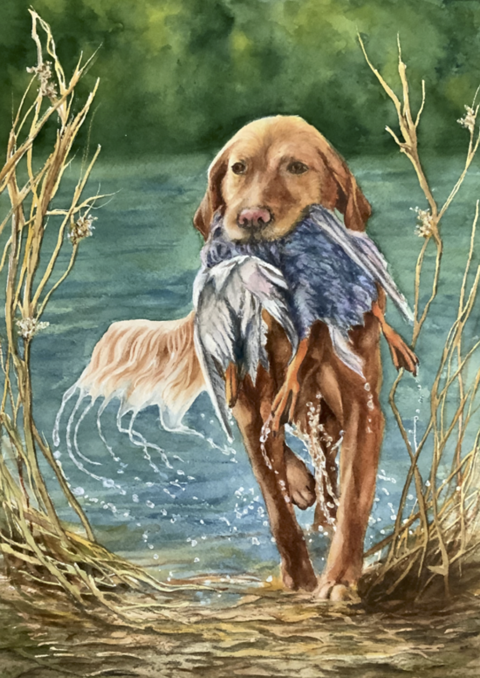 Screenshot 2025-12-18 at 7.42.24 AM.png