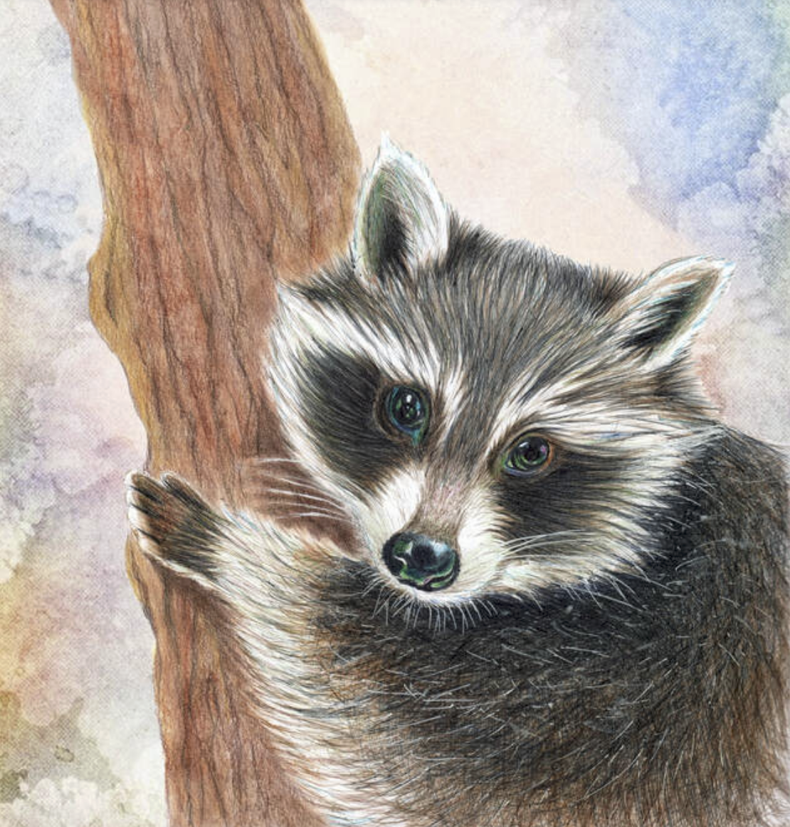 Screenshot 2025-12-18 at 7.46.26 AM.png