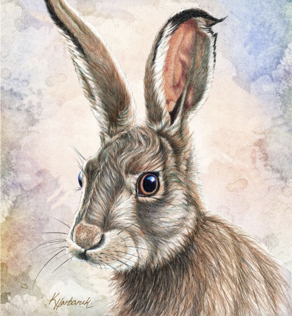 Screenshot 2025-12-18 at 7.43.30 AM.png