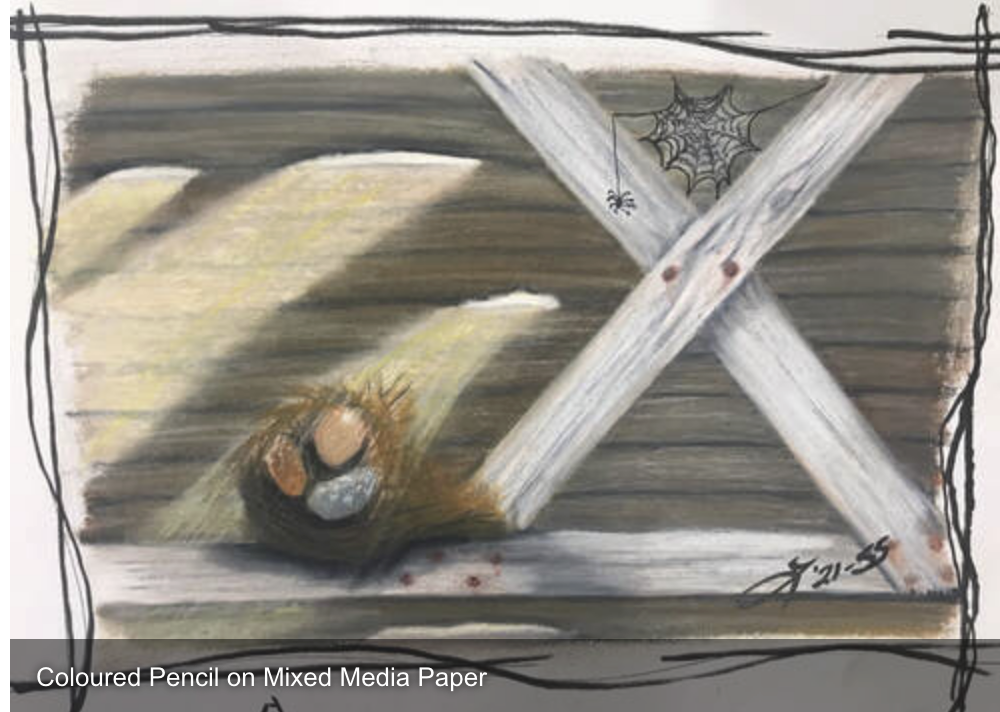 Screenshot 2025-12-18 at 10.56.41 AM.png