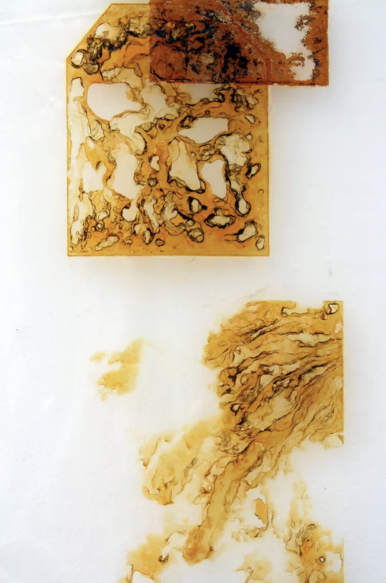 "i like the wind" collection, 2014