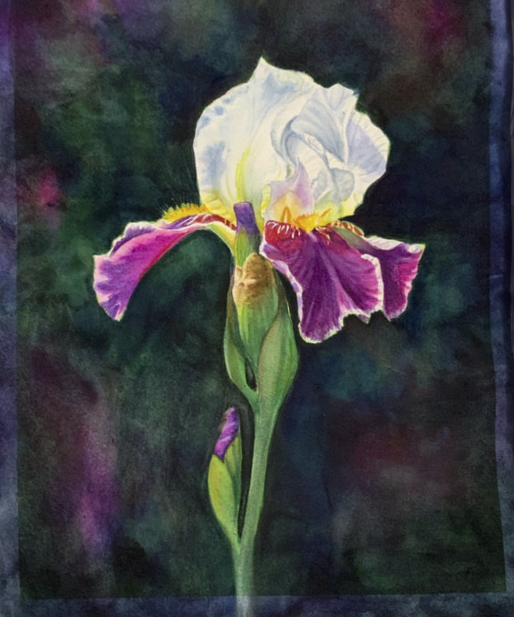 Screenshot 2025-12-18 at 7.45.08 AM.png