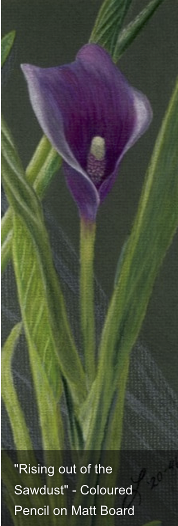 Screenshot 2025-12-18 at 10.56.15 AM.png