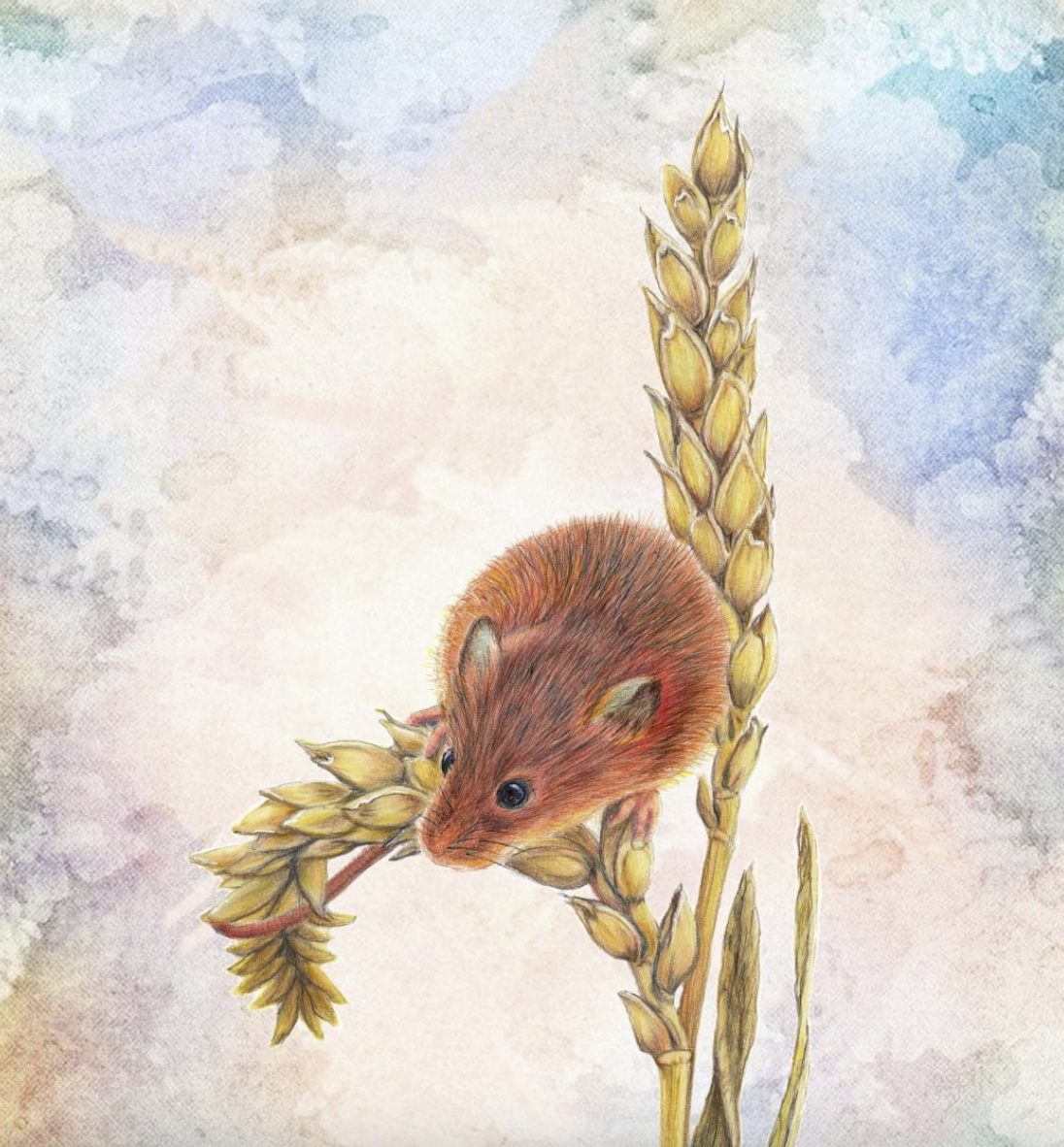 Screenshot 2025-12-18 at 7.43.11 AM.png