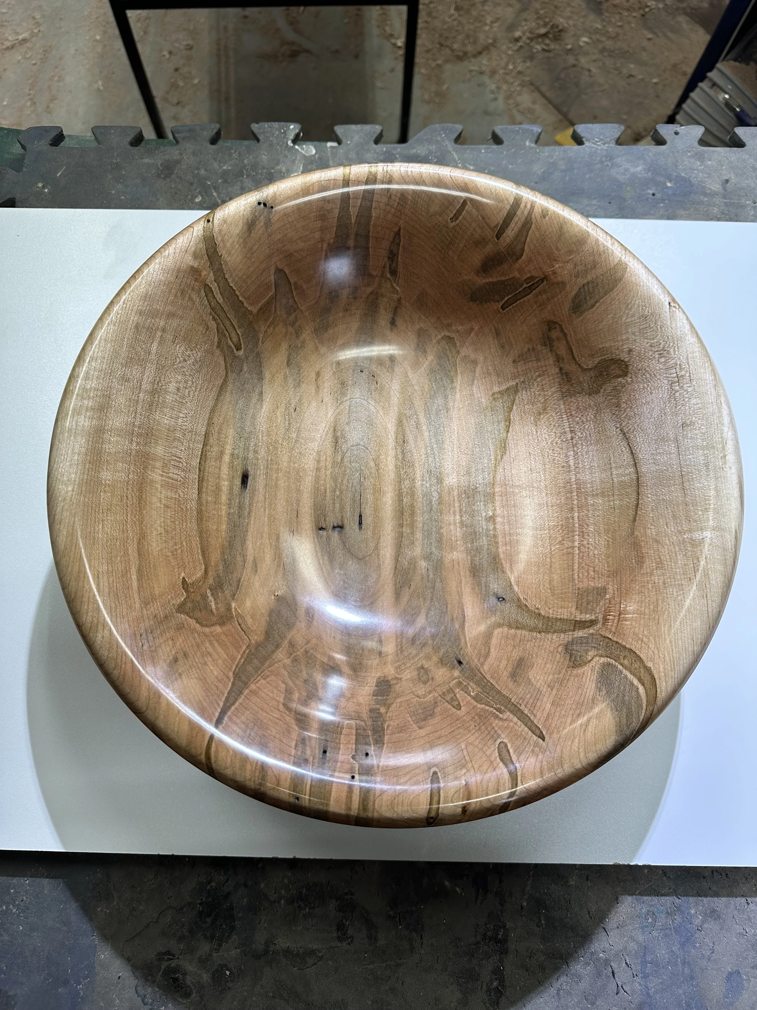 Big Leaf Maple