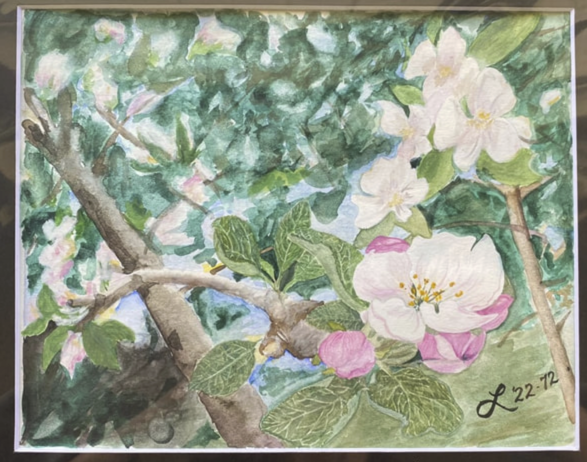 Screenshot 2025-12-18 at 10.59.11 AM.png