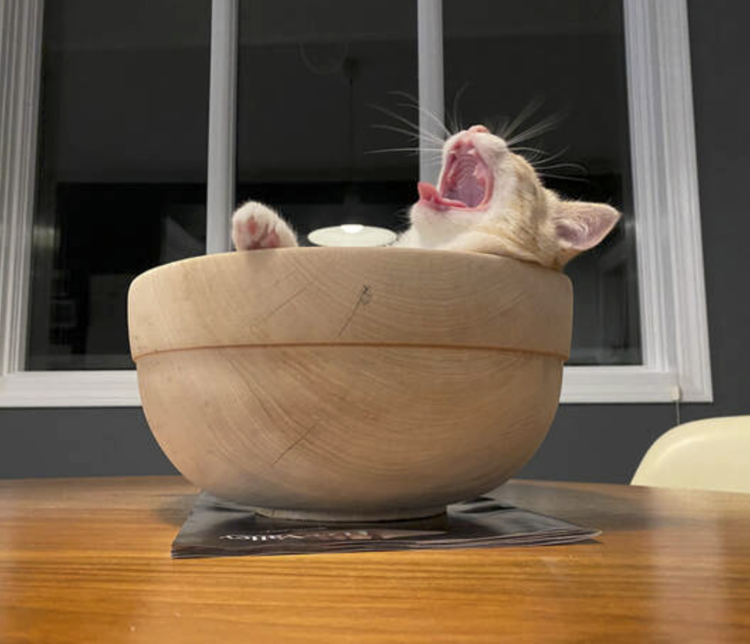 Screenshot 2025-12-18 at 6.50.41 AM.png