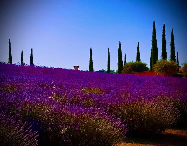 French countryside vacation trip Provence