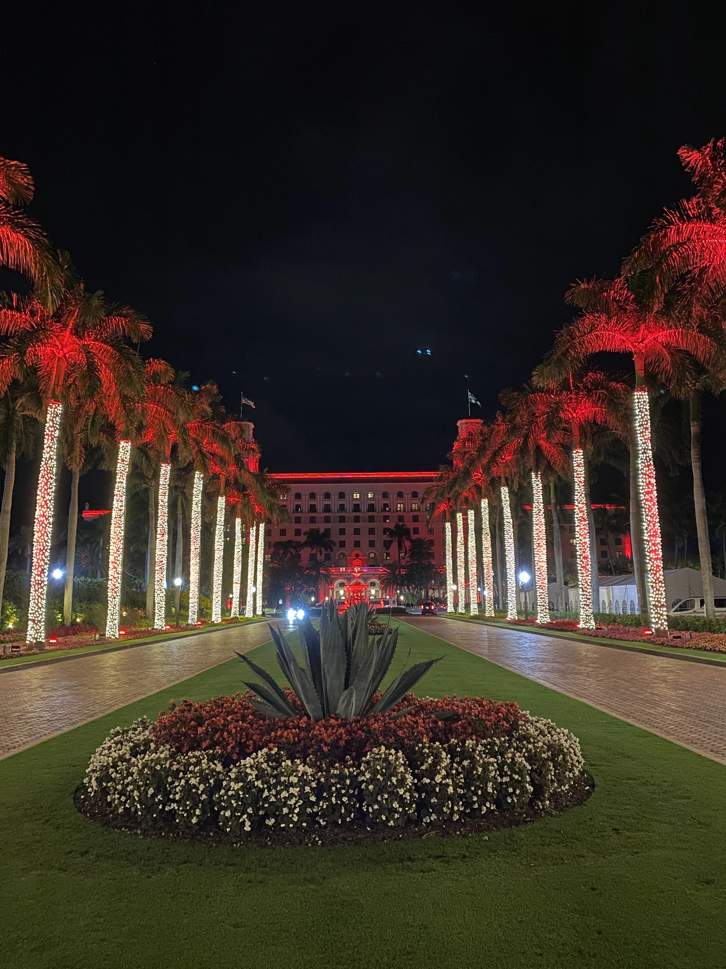 Night view of a grand hotel with illuminated palm trees along a driveway and a flower bed in the foreground.