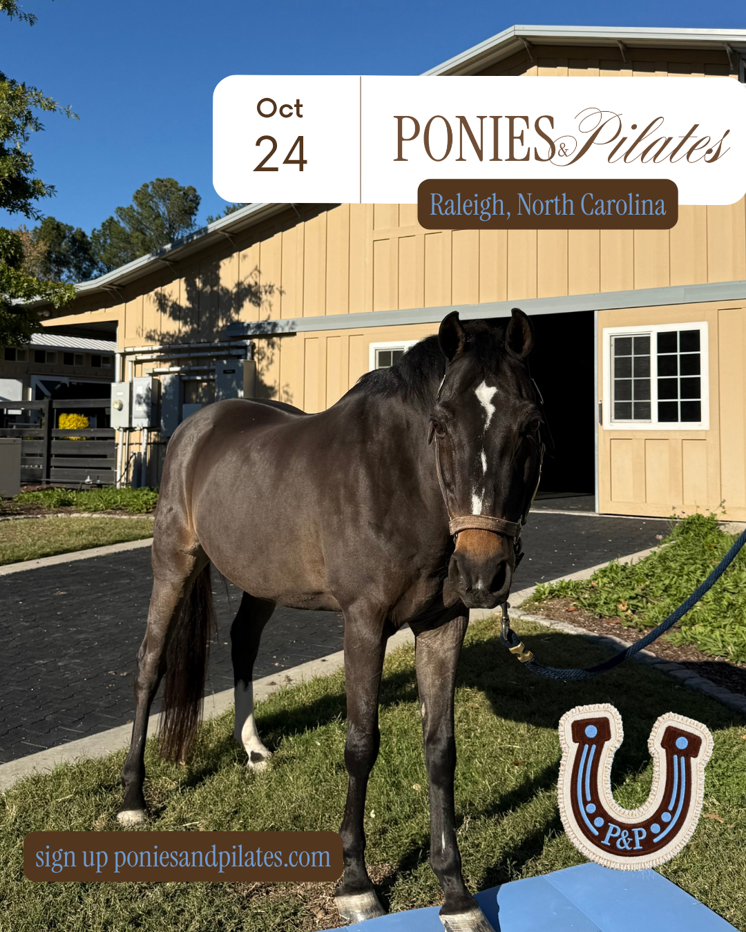 Ponies & Pilates Social Club | Carolina Farm Edition 🤎🩵🐴