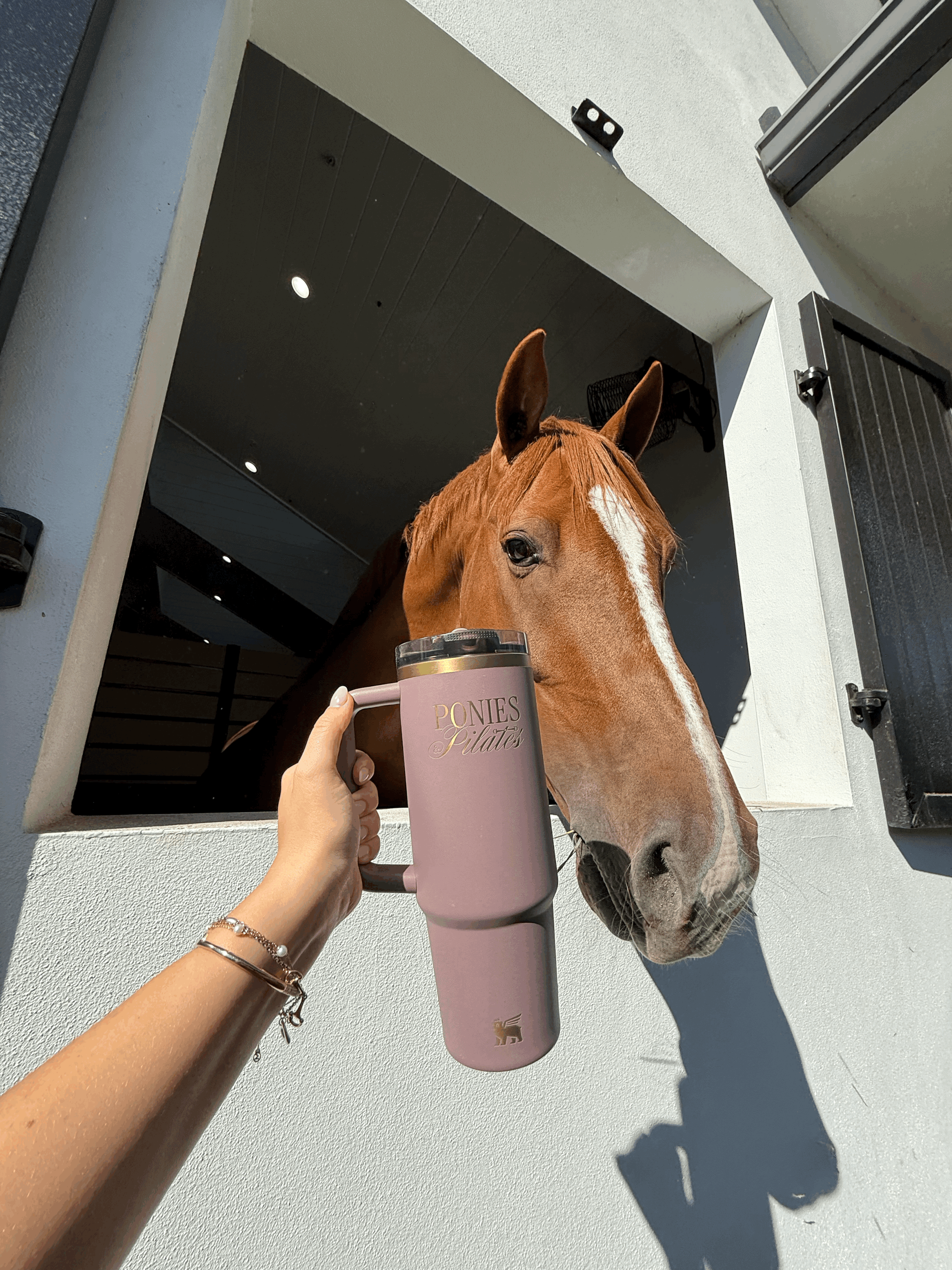 Ponies & Pilates Engraved Gold & Purple Stanley