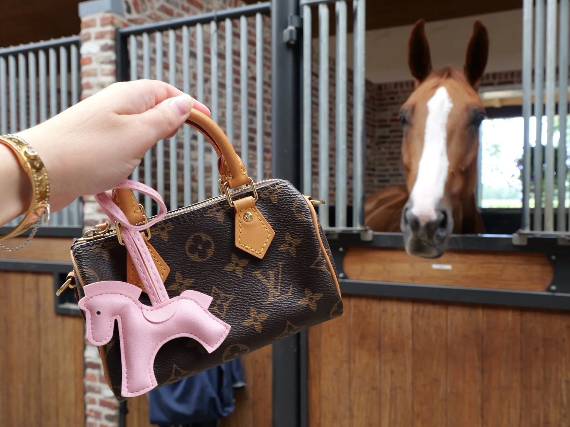Bo Bag Charm in Pink