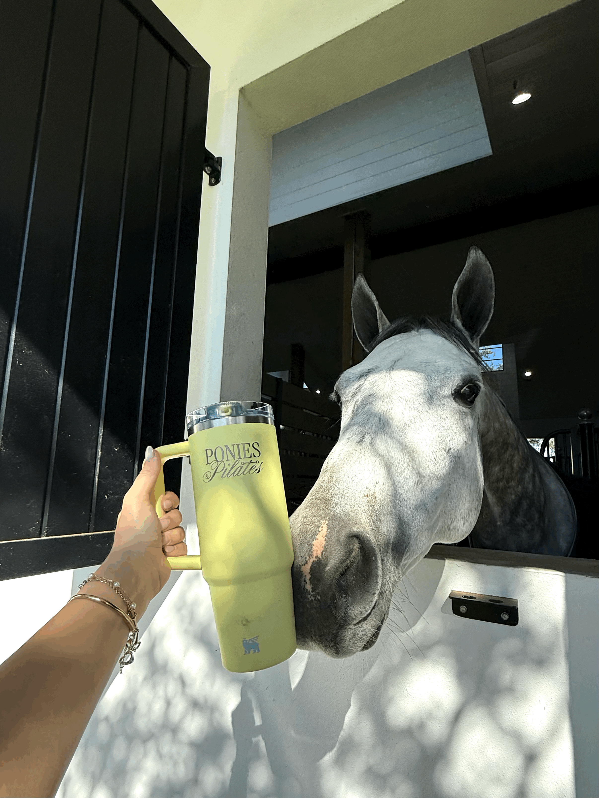 Ponies & Pilates Yellow Stanley