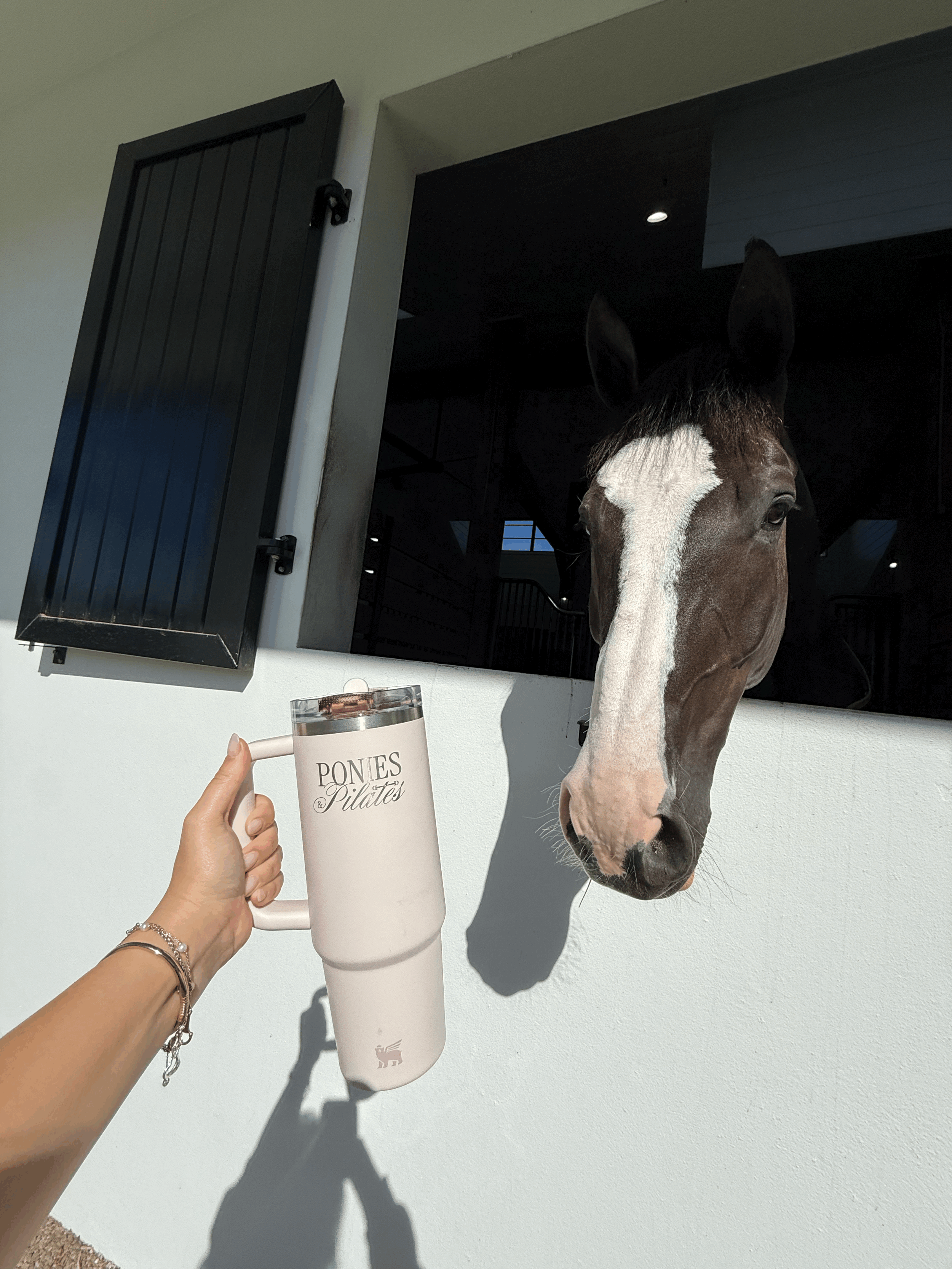Ponies & Pilates Engraved Silver & Pink Stanley