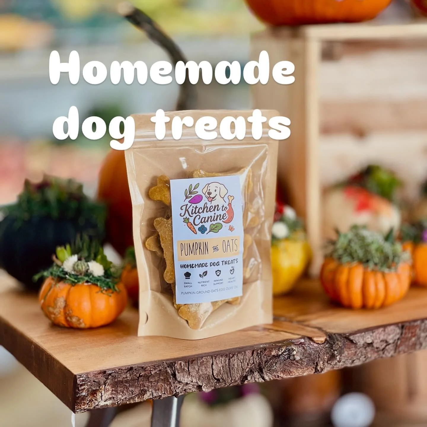 🦴Farm-to-Bowl Freshness

Every bag of Kitchen to Canine treats is made in small batches using real, recognizable ingredients you&rsquo;d find in your own kitchen &mdash; oats, pumpkin, parsley, sardines, and more. Because your dog deserves snacks as