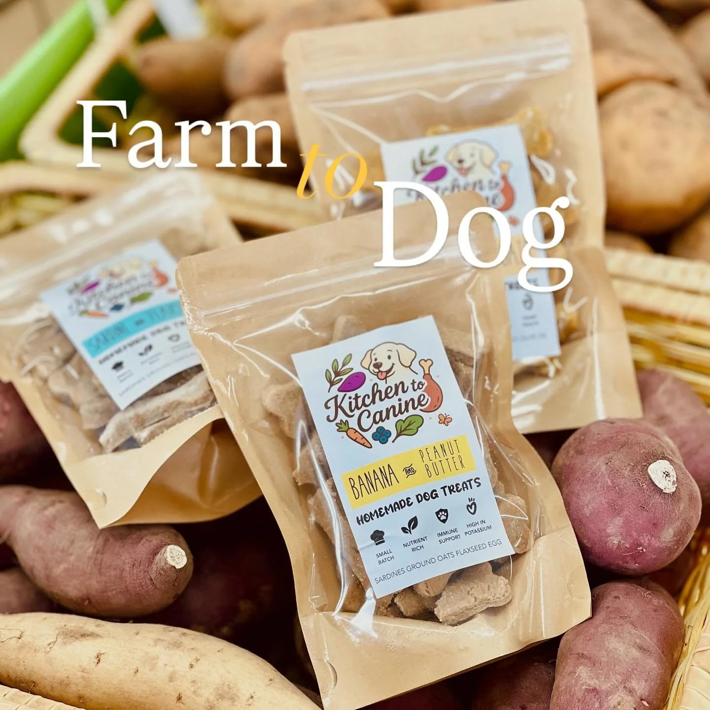 🦴Farm-to-Bowl Freshness

Every bag of Kitchen to Canine treats is made in small batches using real, recognizable ingredients you&rsquo;d find in your own kitchen &mdash; oats, pumpkin, parsley, sardines, and more. Because your dog deserves snacks as