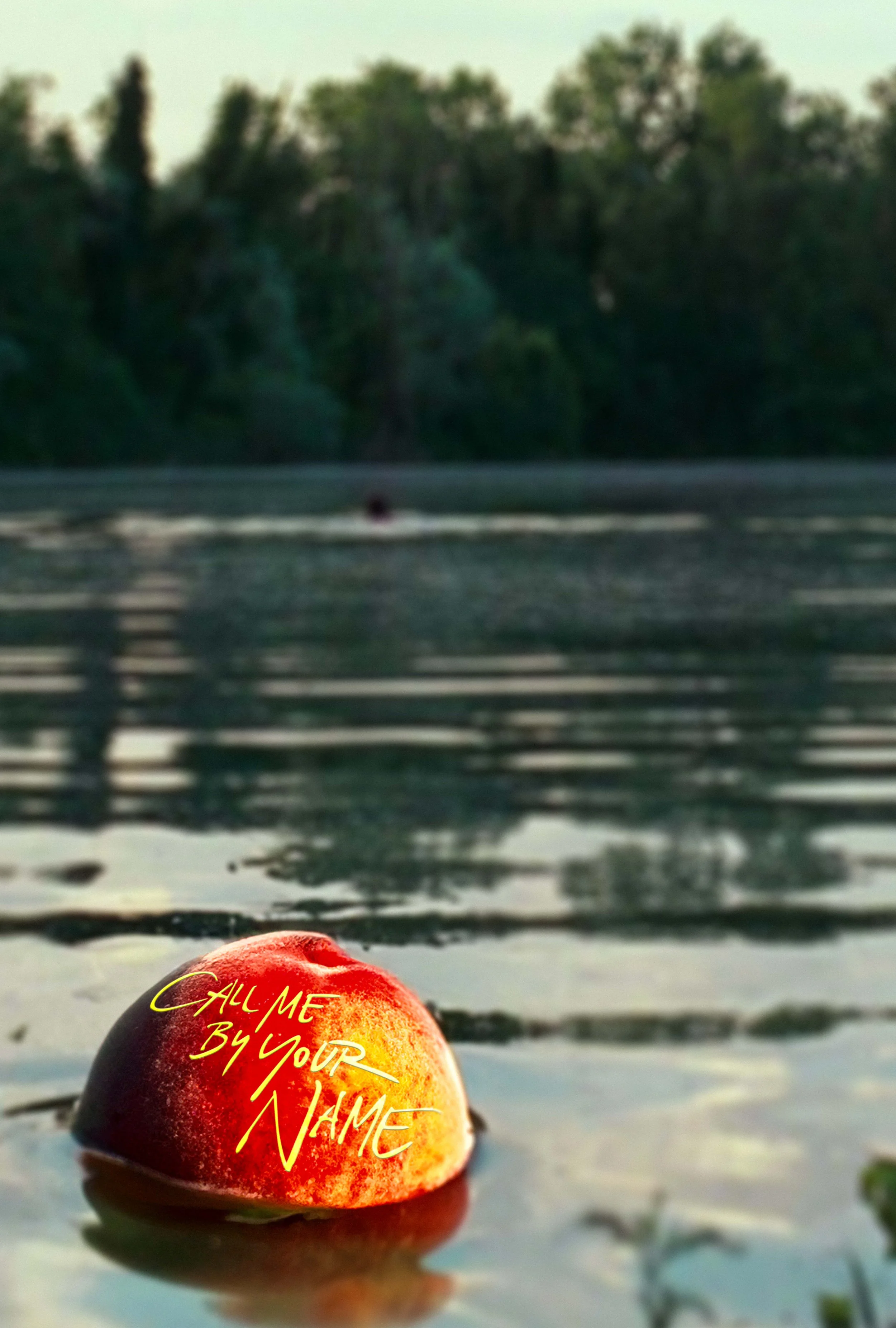 Call Me by Your Name (2017) Poster
