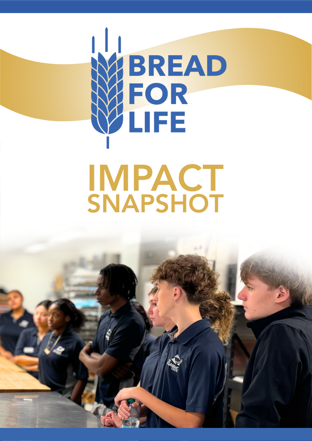 Impact Snapshot 1.png