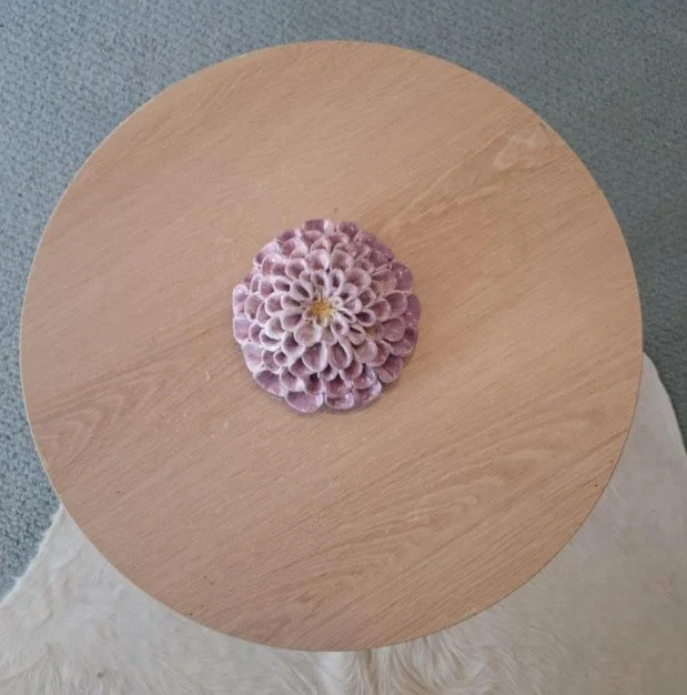 Purple pompom dahlia