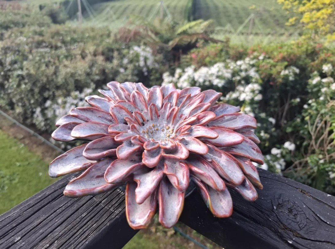 Sangria and Kimchi spikey Dahlia outside.jpg
