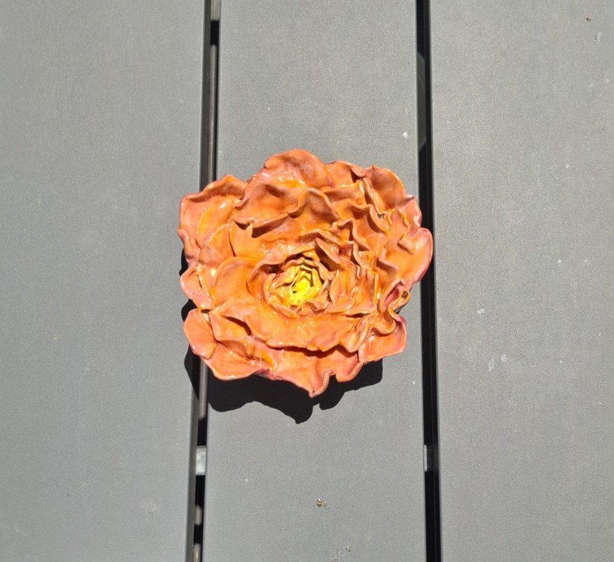 Orange flower for garden