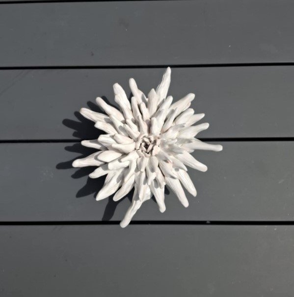Spikey white statement dahlia.jpg