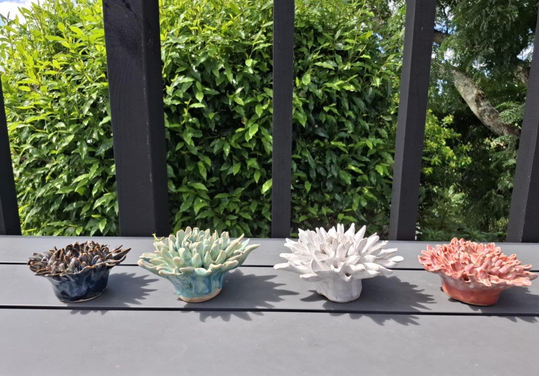 Spikey dahlia collection bench side.jpg