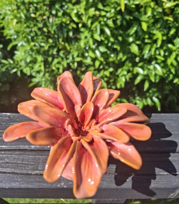 Pink & Orange long petal flower deck.jpg