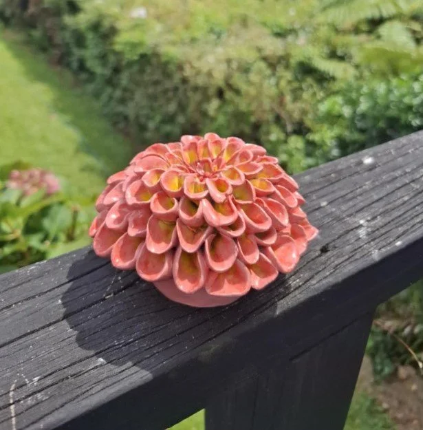 Pink & yellow pompom deck.jpg