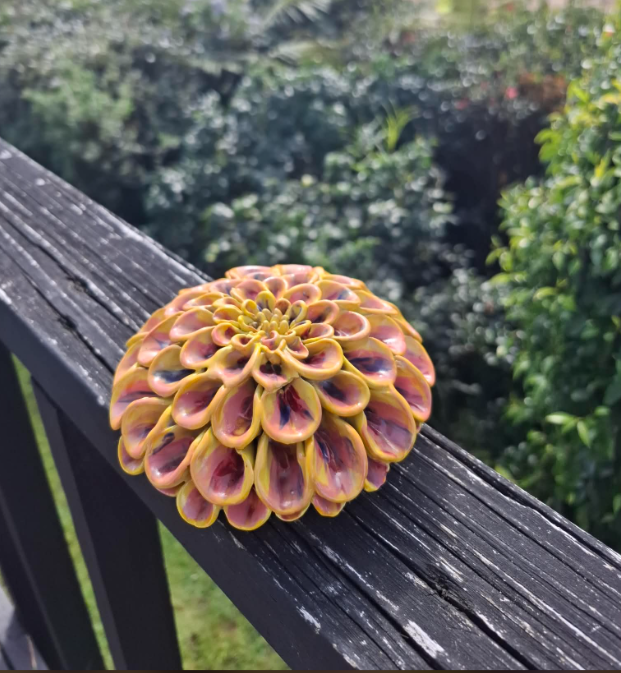Yellow & mix colours pompom dahlia deck.png