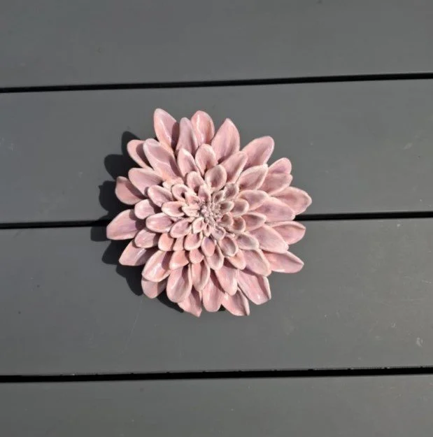 pink spikey dahlia with purple highlights outside table.jpg