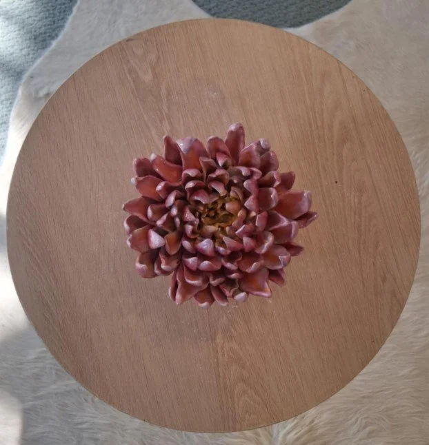 Large pink with purple spikey dahlia.jpg