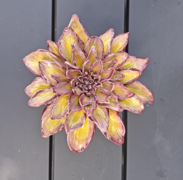Yellow & pink spikey dahlia outside bench.jpg