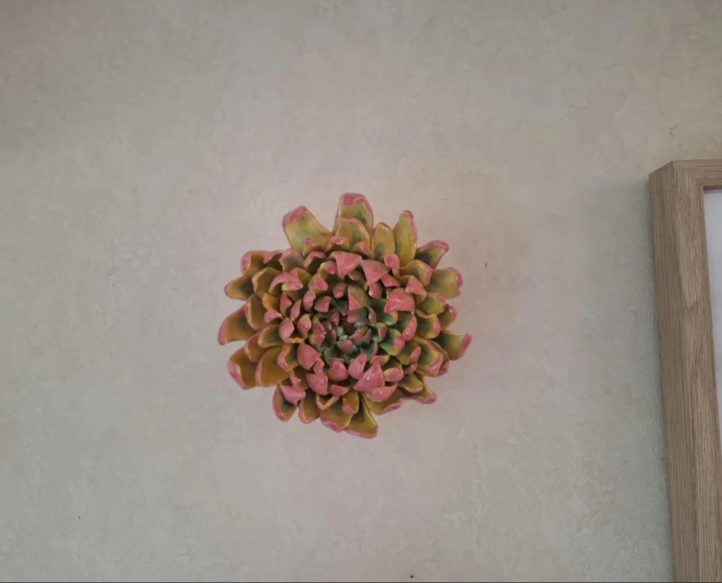 Large yellow & pink spikey dahlia wall.jpg