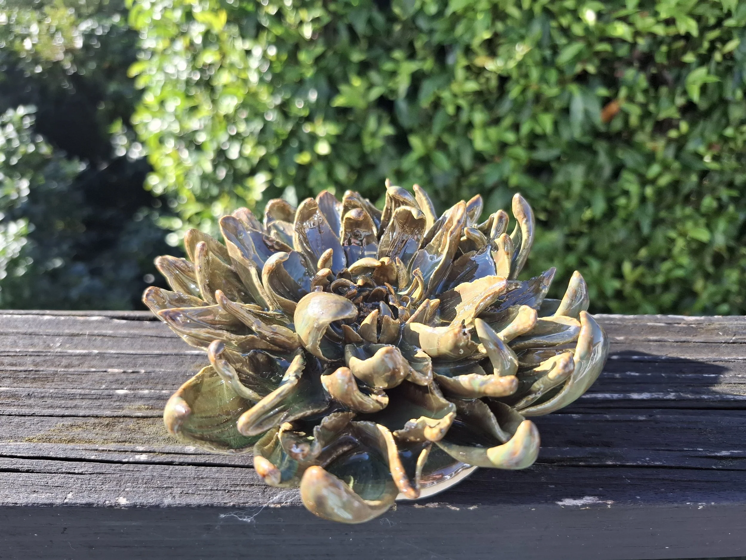 Olive-Toned Spikey Dahlia