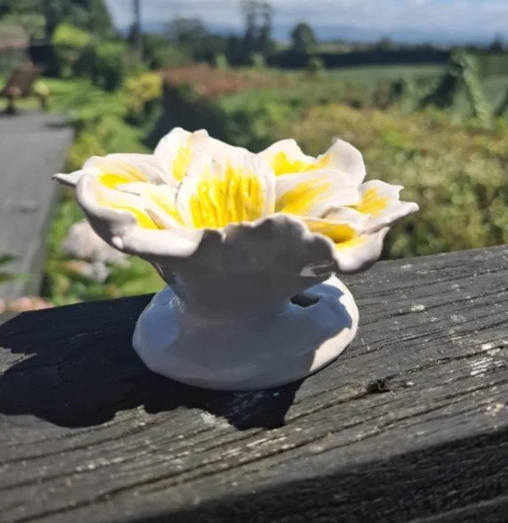 Yellow & white flower outside side.jpg