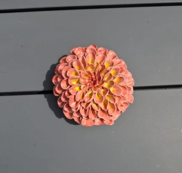 Vibrant Pink & Yellow Pompom Dahlia