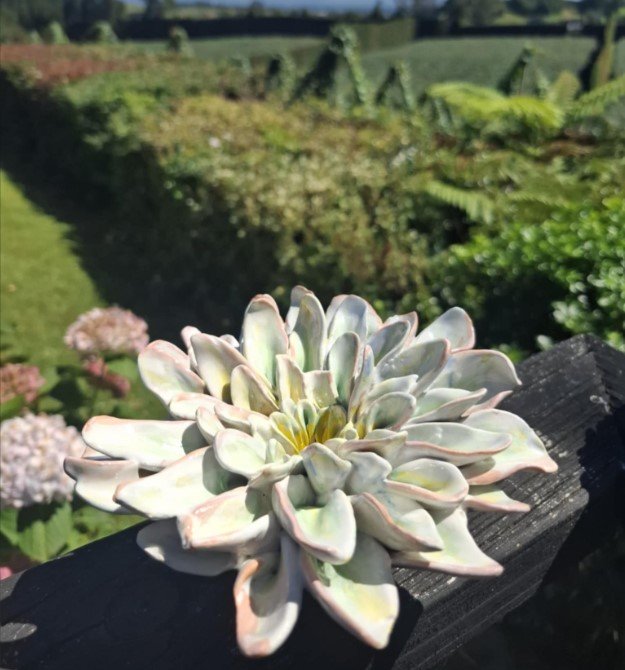 White pink and green spikey dahlia outside.jpg