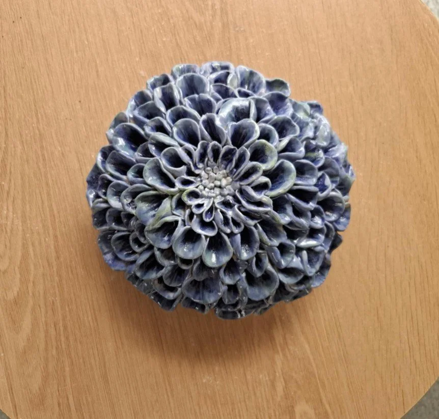 Blue pompom dahlia close.jpg