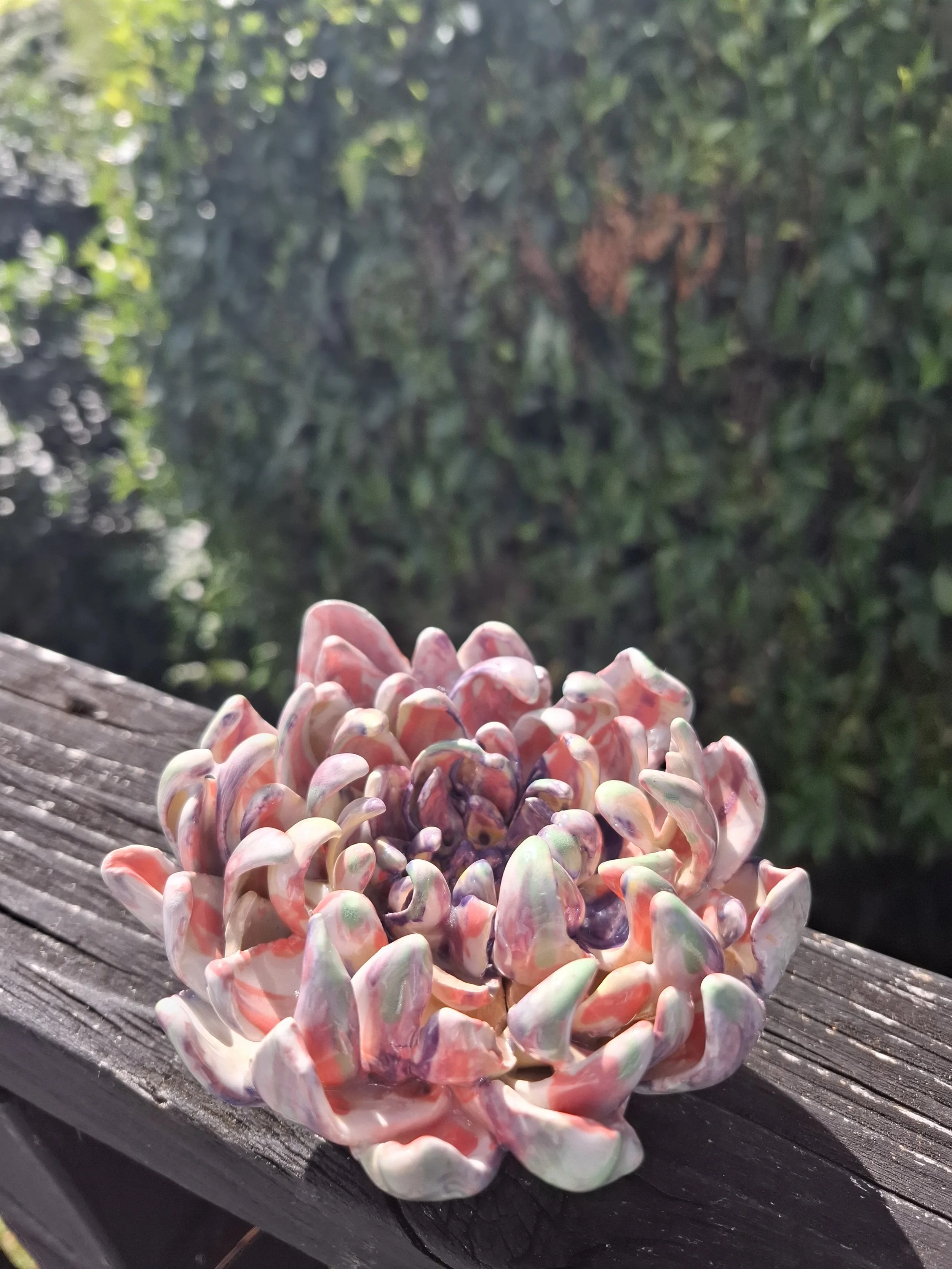 Soft Pink and Pistachio Green Dahlia