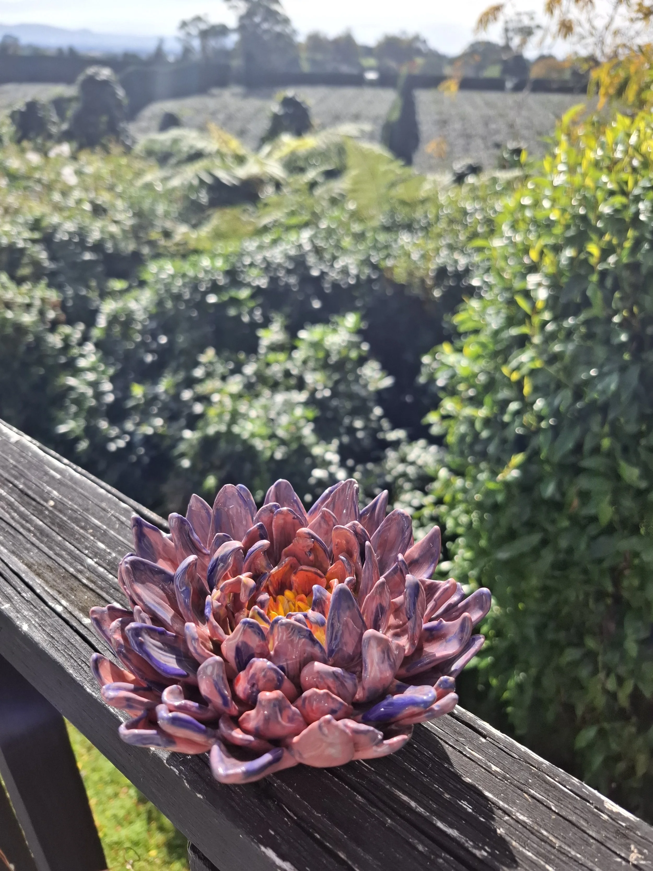 Vibrant Purple Spikey Petal Dahlia
