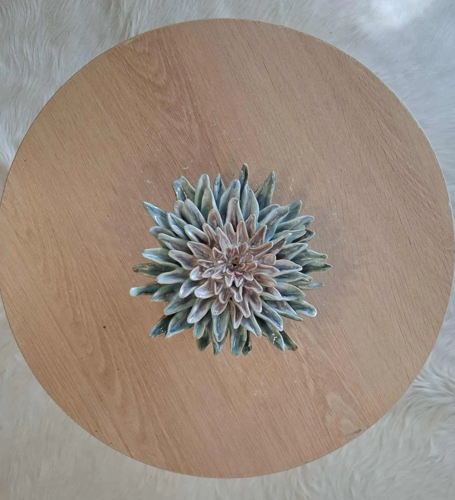 Textured turquoise and pink spikey petal Dahlia