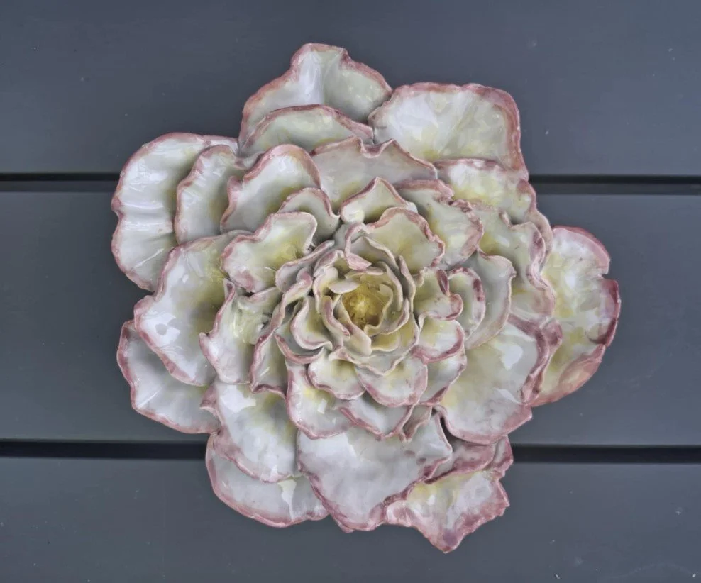 Large White, pink & yellow rose